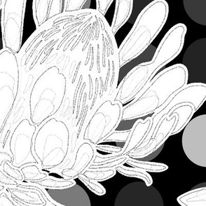 protea black and white outline with dots