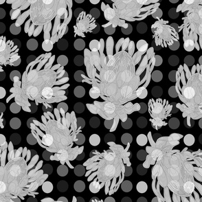 protea black and white with dots 