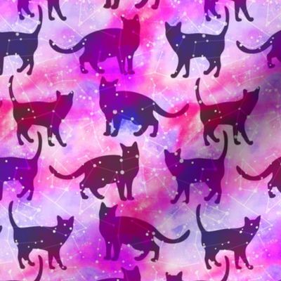 Pink Cats and Galaxies