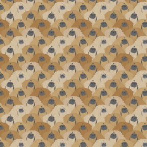 Small Fawn Pekingese portrait pack