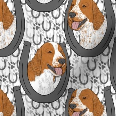 Welsh Springer Spaniel horseshoe portraits