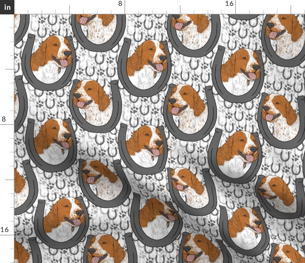 Welsh Springer Spaniel horseshoe portraits