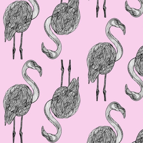 Pink flamingo