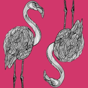 Raspberry sorbet flamingos