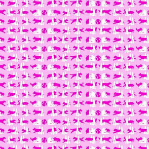 Small Simple Flyball dogs silhouettes - pink