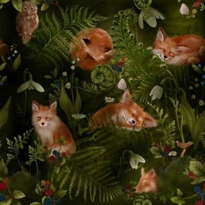 Sleeping foxes