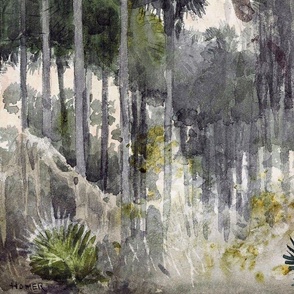 Winslow Homer // Florida Jungle