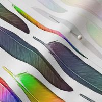 Rainbow Conure flight feathers - vertical