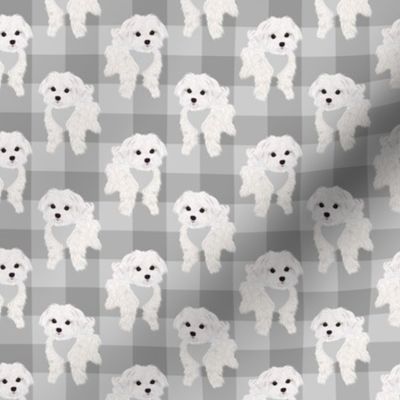 Maltese Grey Gingham Neutral - abt 1 1/2" tall