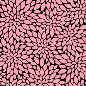 Dahlia Blossoms - Pink and Black