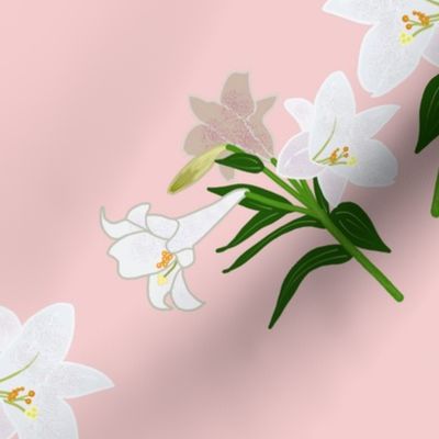 Easter Lilies - shell pink, large scale, jumbo 