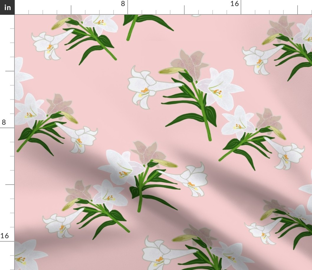 Easter Lilies - shell pink, large scale, jumbo 