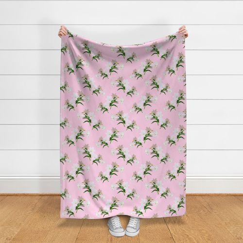 Easter Lilies - baby pink, large scale, jumbo 