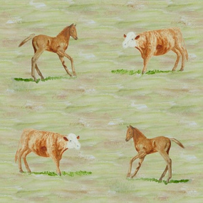 foal and calf squares