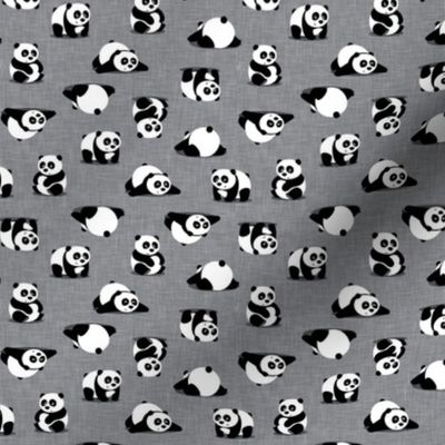 (small scale) pandas - giant panda - grey - LAD21