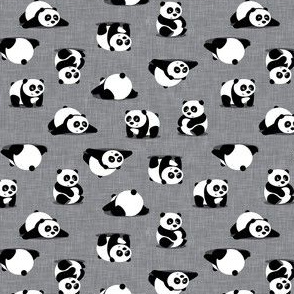 (small scale) pandas - giant panda - grey - LAD21