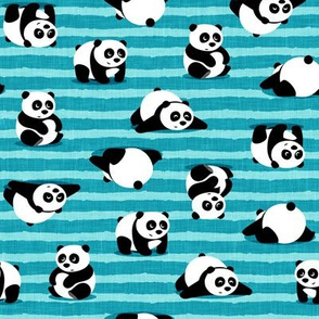 pandas - giant panda - blue stripes  - LAD21