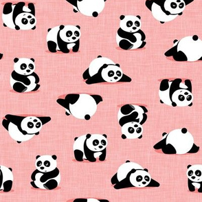 pandas - giant panda - summer pink - LAD21