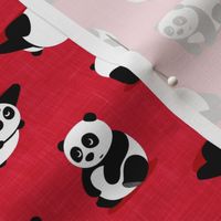 pandas - giant panda - red - LAD21
