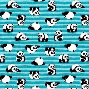 (small scale) pandas - giant panda - blue stripes  - LAD21