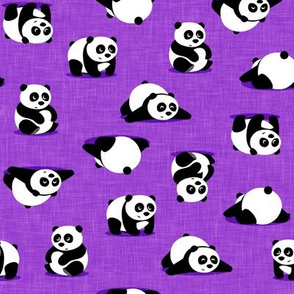 pandas - giant panda - purple - LAD21