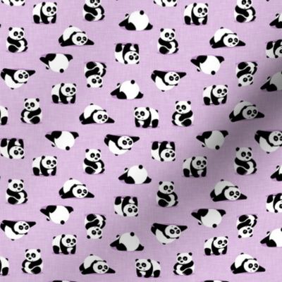 (small scale) pandas - giant panda - purple - LAD21