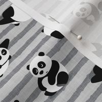 pandas - giant panda - grey stripes - LAD21