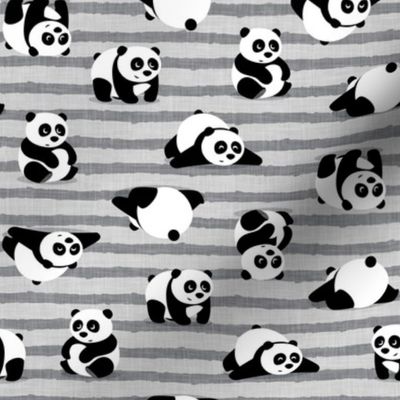 pandas - giant panda - grey stripes - LAD21