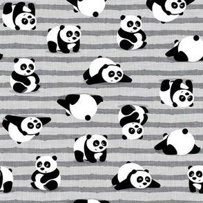 pandas - giant panda - grey stripes - LAD21