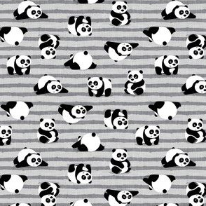 (small scale) pandas - giant panda - grey stripes - LAD21