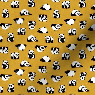 (small scale) pandas - giant panda - gold - LAD21