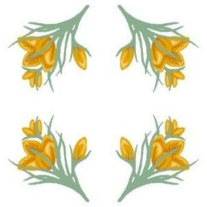 Golden Crocus white highlighted