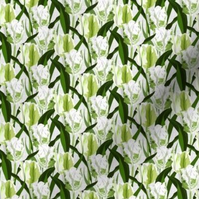 parrot tulips white on gray - extra small