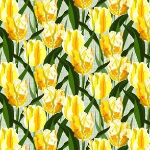 yellow tulip field - small scale