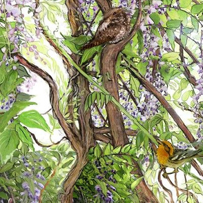 Wisteria Warbler Whippoorwill 2