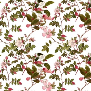 Roseate 3 Watercolor hand painted wild roses pattern
