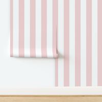 Ballet Slipper and White Cabana Stripe