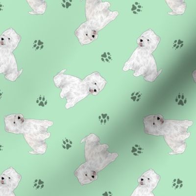 Tiny West Highland White Terrier - green