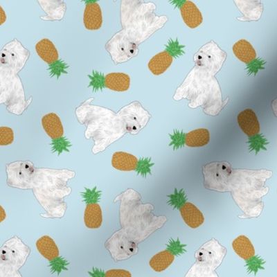Tiny West Highland White Terrier - pineapples