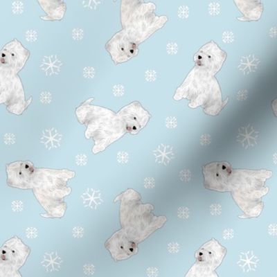 Tiny West Highland White Terrier - winter snowflakes