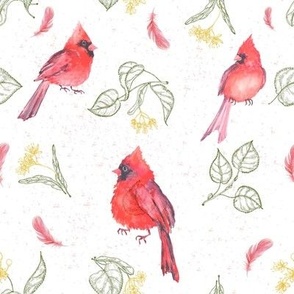 Cardinals and chamomile 