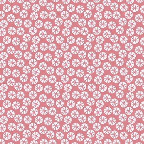 Crossed Centers-Coral Pink-Peony Palette