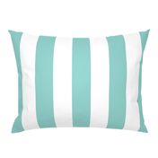 aqua and white Cabana Stripe