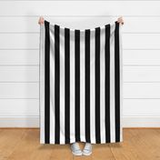 black and White Cabana Stripe