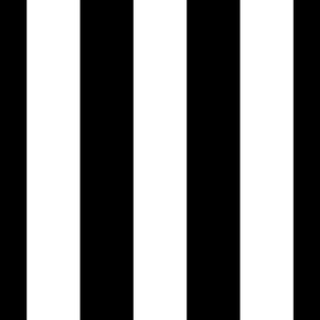 black and White Cabana Stripe
