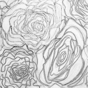 grey roses