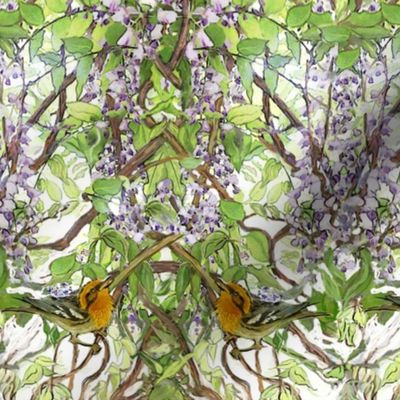 Warbler in Wisteria, narrow version