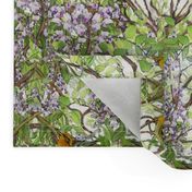 Warbler in Wisteria, narrow version