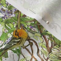 Warbler in Wisteria, narrow version