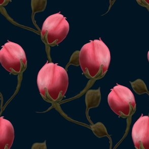 Pink watercolor roses buds on dark blue_large scale